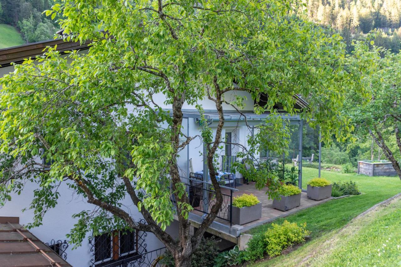 Ferienwohnung Elfriede Hopfgarten in Defereggen エクステリア 写真